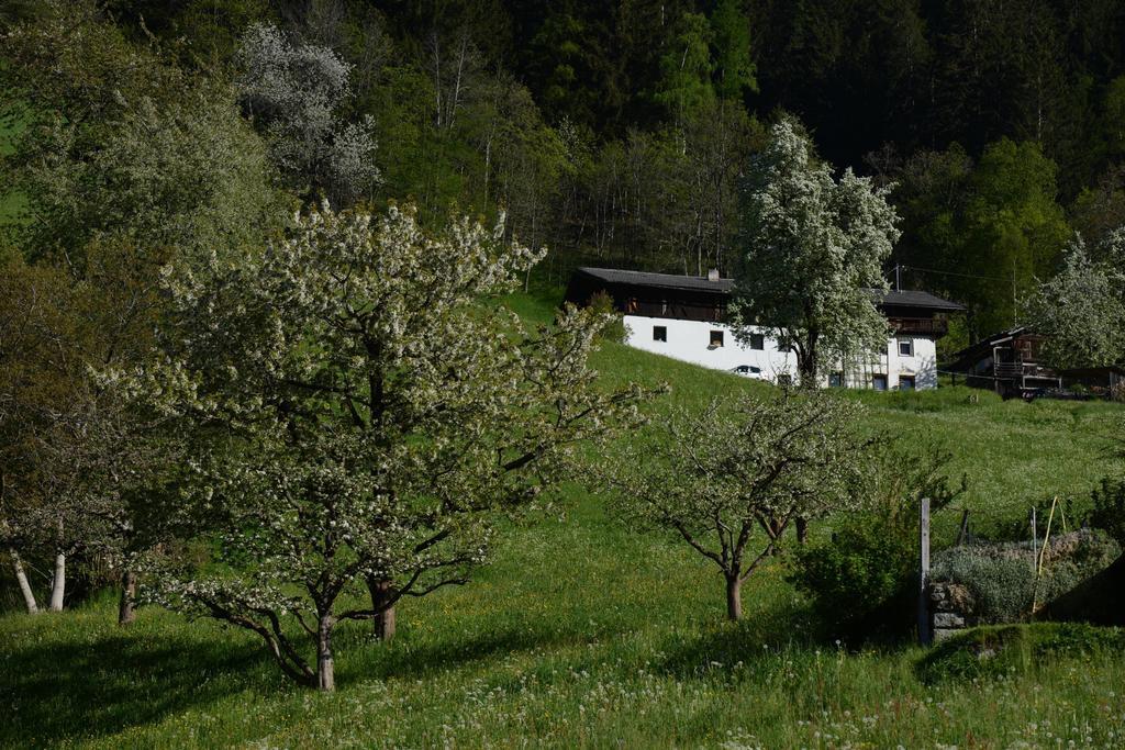 Bed and Breakfast Haus Elisabeth Нойштифт-им-Штубайталь Экстерьер фото